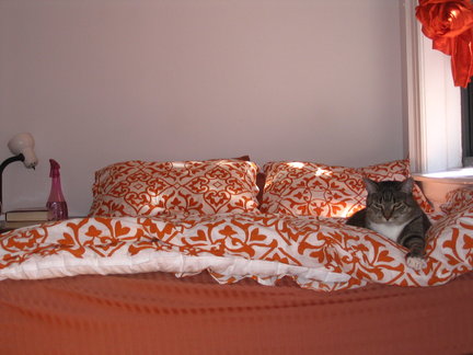 No bedroom set is complete without a grey tabby.
